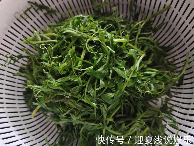 果儿|3块钱买了一袋野菜，只加了简单一味调料，炒出来清香美味
