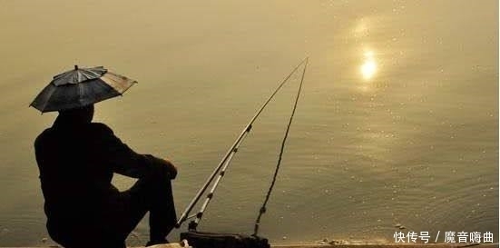 世界上最昂贵的五种食用鱼,一条几百万,叫人怎么下得了口!