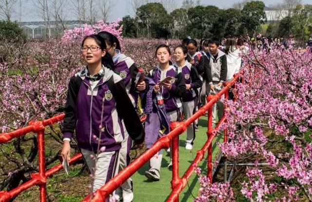 教育部|全国学生将迎来“新长假”？教育部给出答复，家长却有些发愁