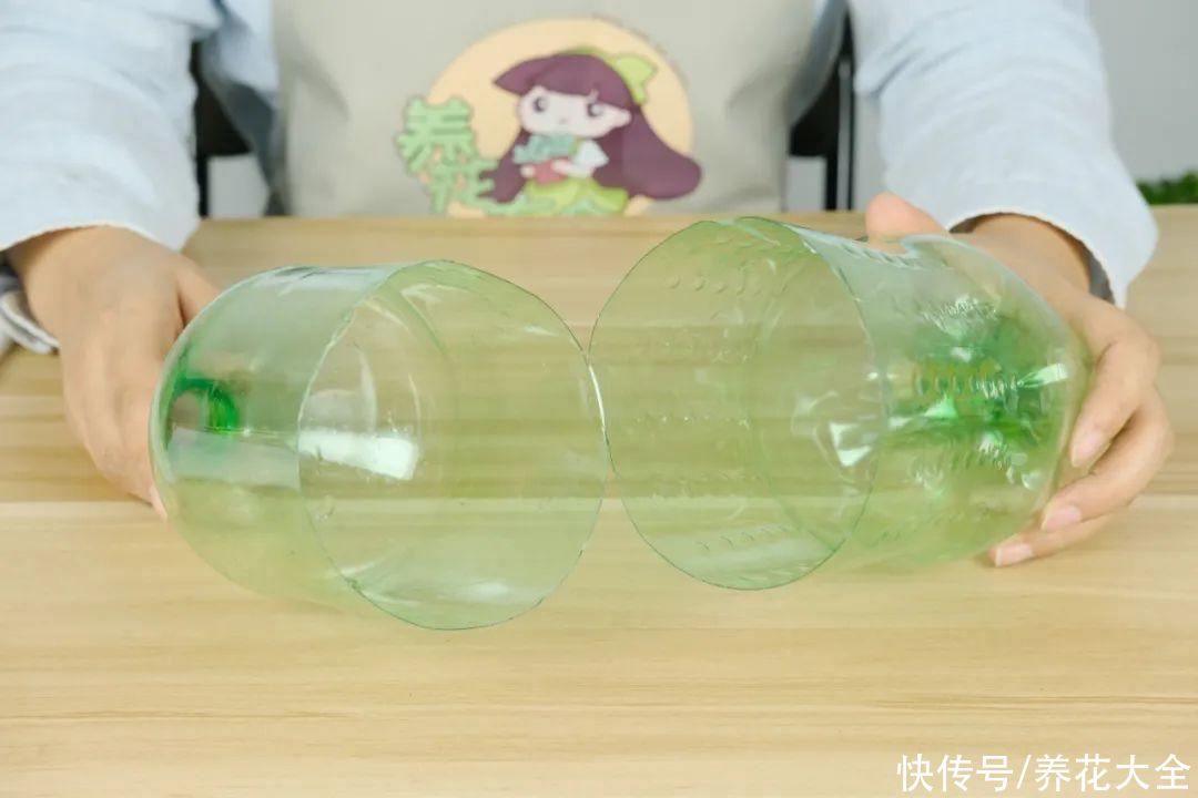 11种常见花，现在扦插，成活率特高