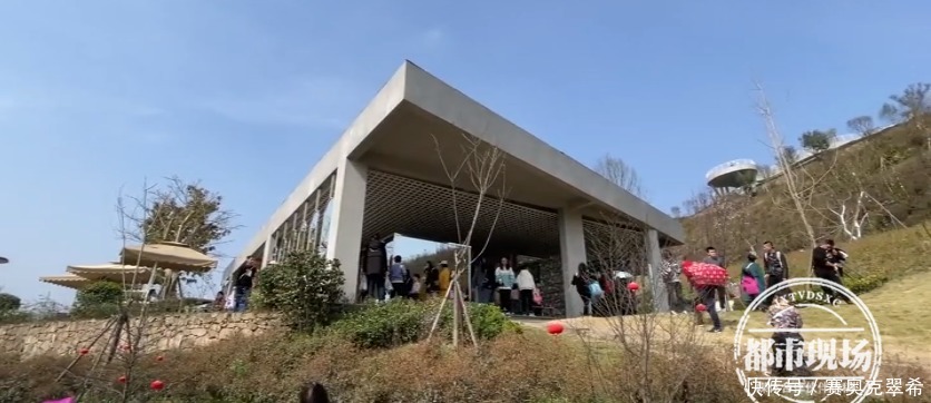 中年|四川“透明公厕”爆红网络！记者实地探测发现：有BUG？