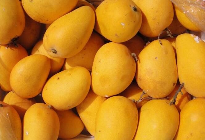 湿热|长夏调理脾胃 巧用黄色食物