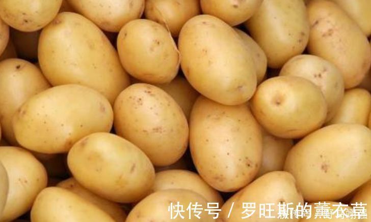 家人|发芽后的土豆到底还能吃吗?可能你一直存在误解,快点让家人知道