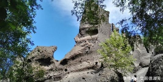 奇花|集奇峰、瀑布、怪石、暗河、绿树、奇花、异草于一体，峡谷浮石林