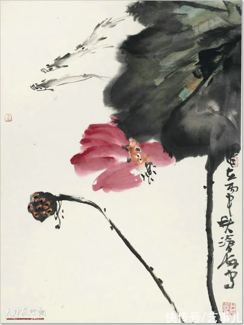 库尔勒!尹沧海教授荷花水禽作品欣赏:笔意简率自由 一派天趣自成