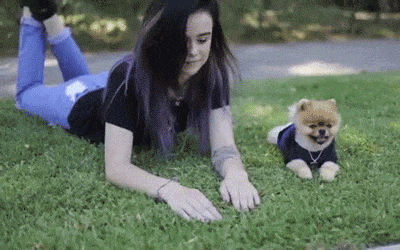 |搞笑GIF:本以为是郎才女貌 怎料想是狼心狗肺