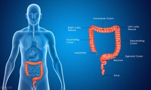 肠癌|大肠癌上门，身体可能发出5种警示！这7类高风险人群要提前注意