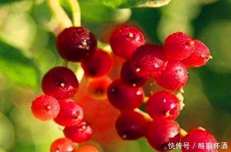 食物|女性爱美,常吃4种食物,可祛皱嫩肤,延缓衰老,呵护“子宫”