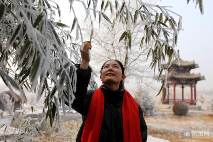 美极了！无棣古城雾凇美景 宛如冰雪世界