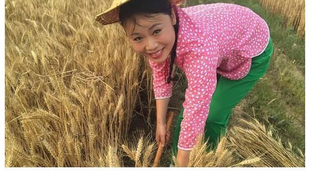 草帽姐的堕落史:从一夜爆红荣登春晚到销声匿迹,她究竟做了什么