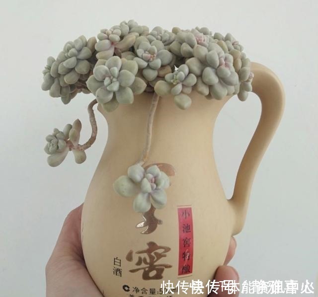 切割机|花盆买不起,自己动手做,好看又实用!花盆买不起,自己动手做,好看又实用!