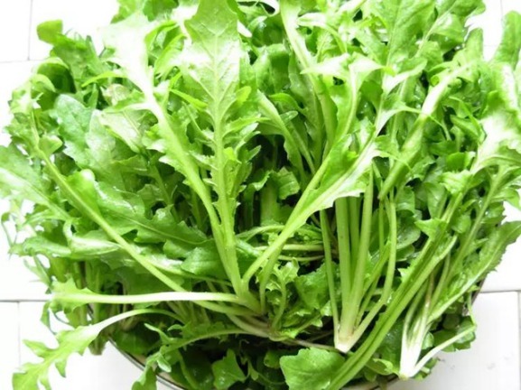 辨别|10种野菜辨别图，遇见了记得摘回家，再不摘点尝尝，下个月就老了