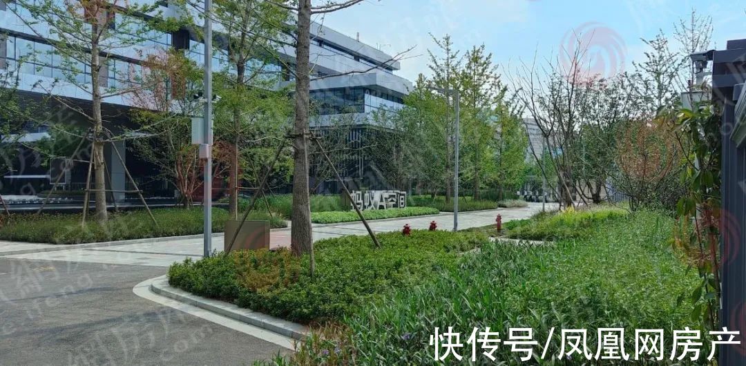 蚂蚁集团|风暴眼｜阿里系已成杭州最大“地产商”?