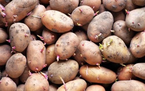 代谢|3种“伤肝蔬菜”很多人当成宝，转告家人：别再成袋往家买，尽早扔掉