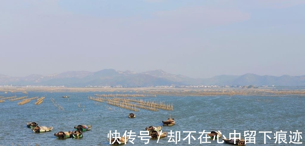 景区|广东巨低调景区，当地唯一海岛镇，海鲜丰富景点优美，却人烟稀少