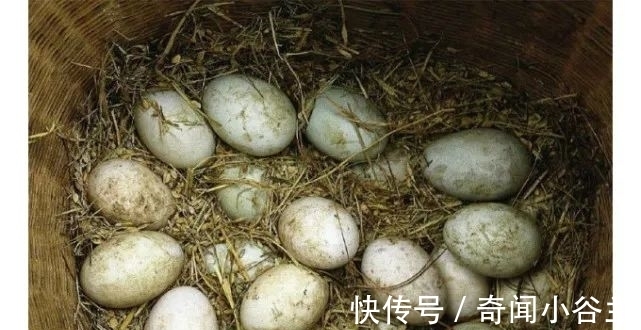 70年代的下館子視頻圖片