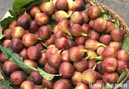 赘肉|女性不想过早显老，晚上当零食吃几个，皱纹淡了，腰间赘肉少了