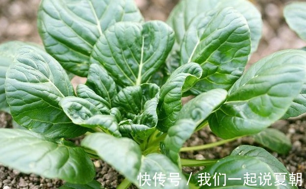 血糖水平|糖尿病患者最好少吃3种水果，或许能慢慢恢复血糖！