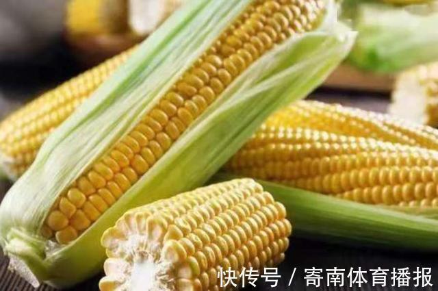 别总嫌天气太热,那是你没试过这鲤鱼饵,老钓手:比商品饵更管用