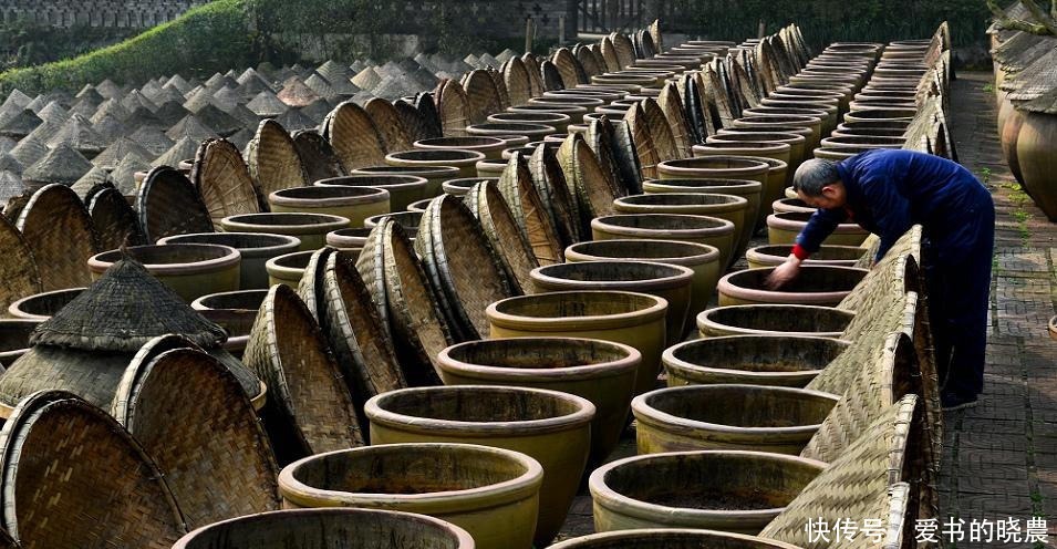 好酱油都有这两行字,买的时候一定要看清,价格再便宜也是好酱油