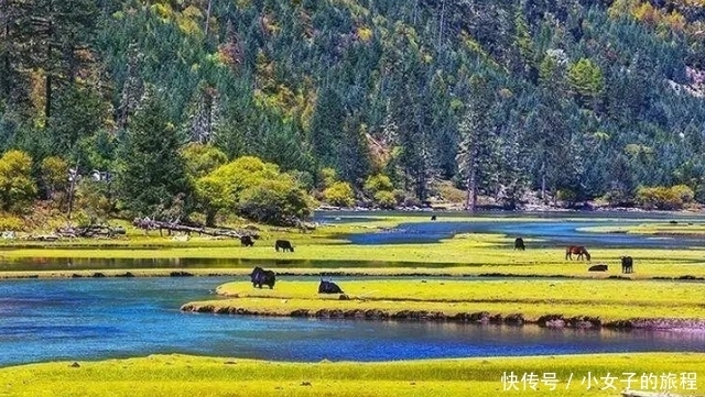 私藏在四川的美景，海拔4200米，景色媲美稻城亚丁，至今尚未开发