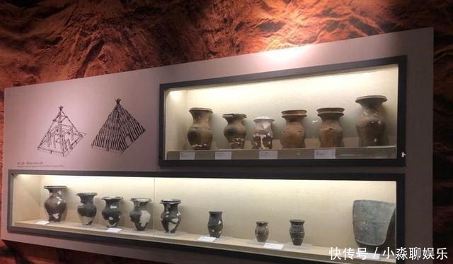  藏品|标本、文物“常驻”图片展每月报到 省博让每件藏品“会说话”