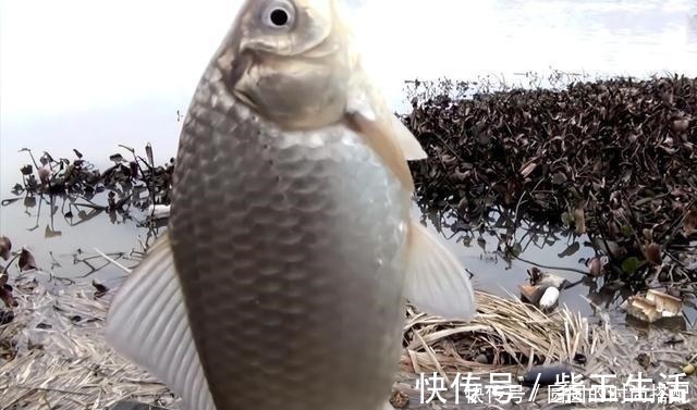 冬季野钓口轻不好抓三个解决方案，大幅提高中鱼率