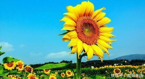 癌症|意外和明天哪个先来?人生伴侣遭遇癌症,自责、哭泣,有用吗?