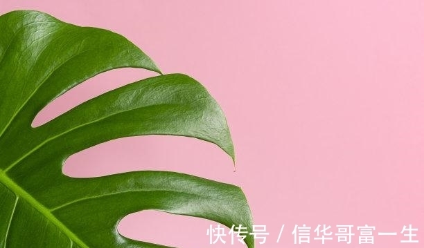 事业|7天后，气质干净，依恋是你，满眼旧爱，回望旧爱，真情永存