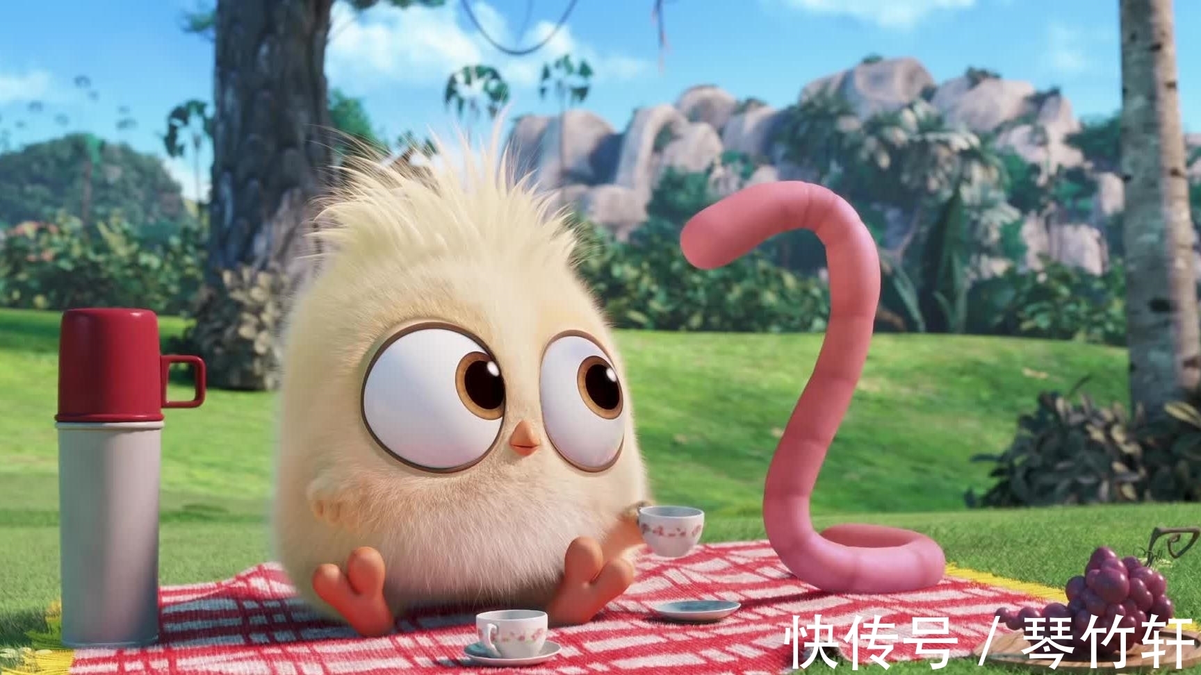 科普|每日科普:趣味冷知识分享(十二)奇怪的知识又增加啦!