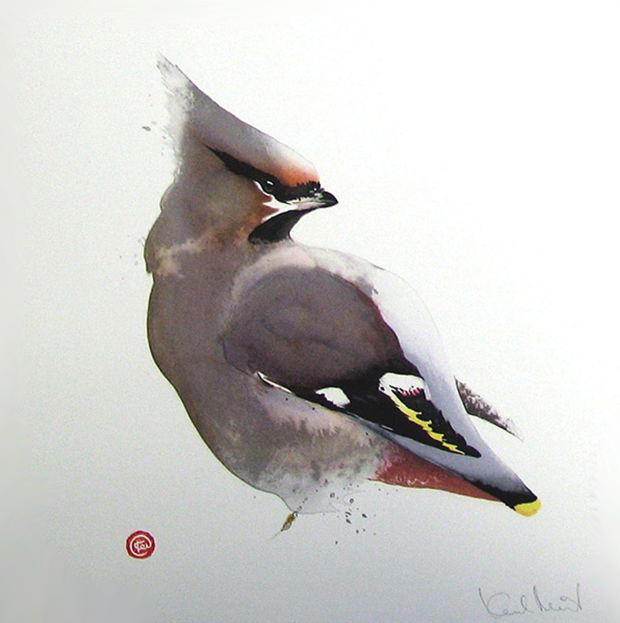 水彩艺@水彩艺术家卡尔·马尔滕斯画的鸟,惟妙惟肖!