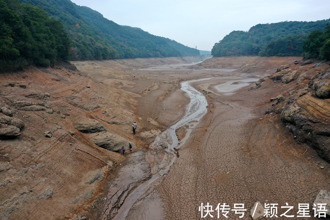 水库|淹没四十多年的古村遗址，重见天日，红杉林隐秘而迷人