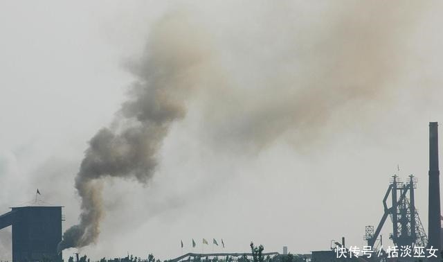 内河|城市内河的秘密!吃货们请管住嘴!垂钓的野生鱼最好不要食用