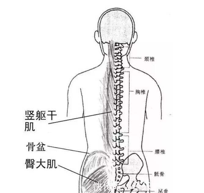 八段锦|练八段锦、五禽戏没有效果，其实是你这个地方出了问题！