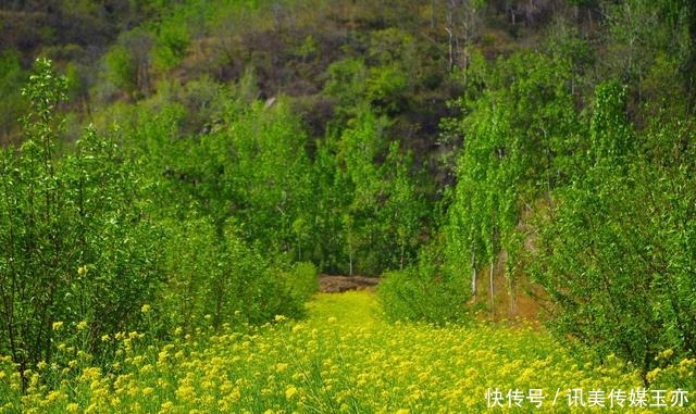 自驾游常馨谷：追寻春天最后一抹油菜花