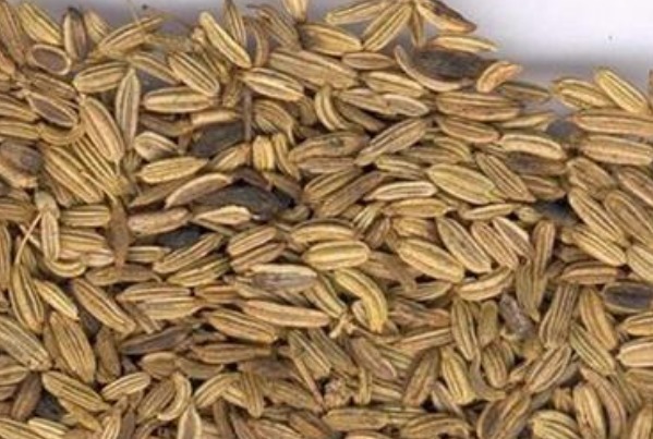 茴香醚|失眠的人不要再发愁了,一物放在枕边,每天闻一闻,一觉到天亮