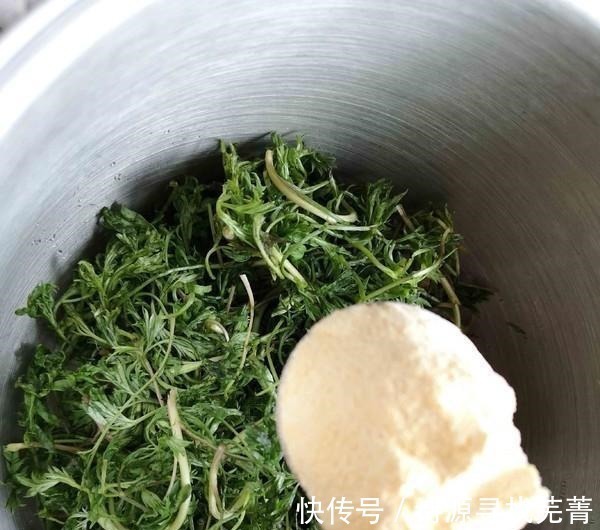 产量|日本人每天必吃的“长寿菜”,我国产量大但没人吃,含钙比牛奶高!