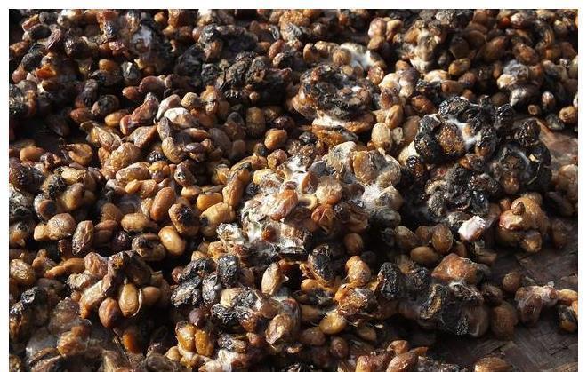 太极|4种运动,称为不花钱的“降压药”,坚持下去,血压不敢“放肆”