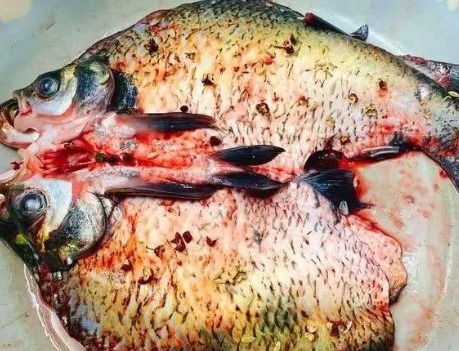 事先|腌腊鱼时,需要事先清洗吗?用错了方法,难怪腊鱼不香还发臭