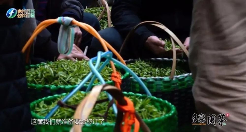 萎凋|老白茶饼是怎样诞生的?好奇就都看过来吧