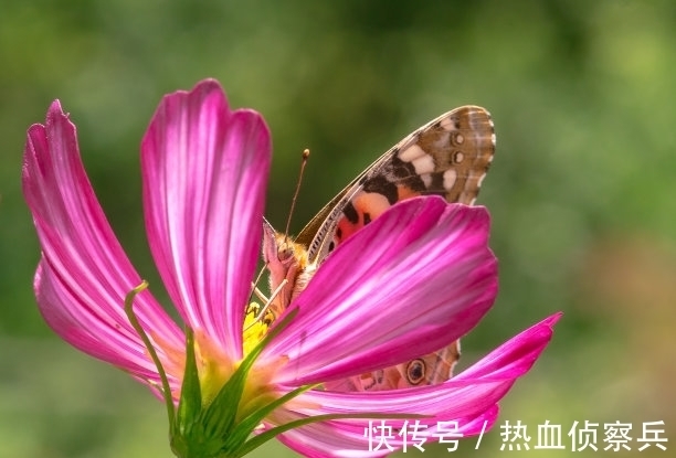 事业|未来8天，此情悠悠，下财雨，财旺福旺，旧情复燃，再续深情