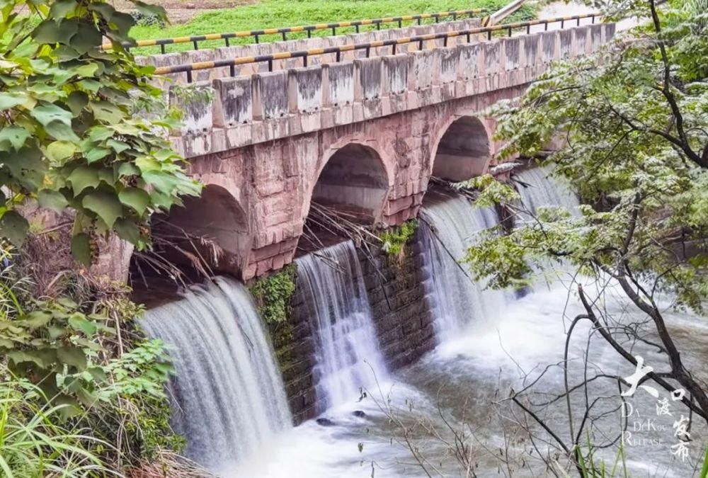 大渡口跳磴这座百年古桥，竟然还有一段鲜为人知的故事