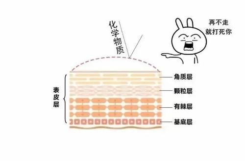 角质真能搓下来？智商税别交！
