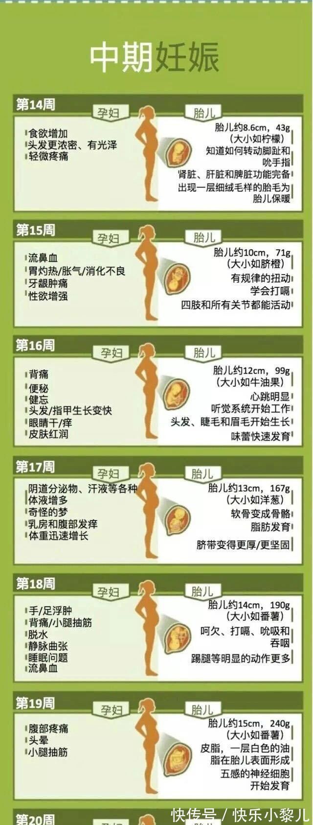 小陈|怀孕40周,孕妈身体会发生哪些变化?小宝宝每天都在悄悄长大