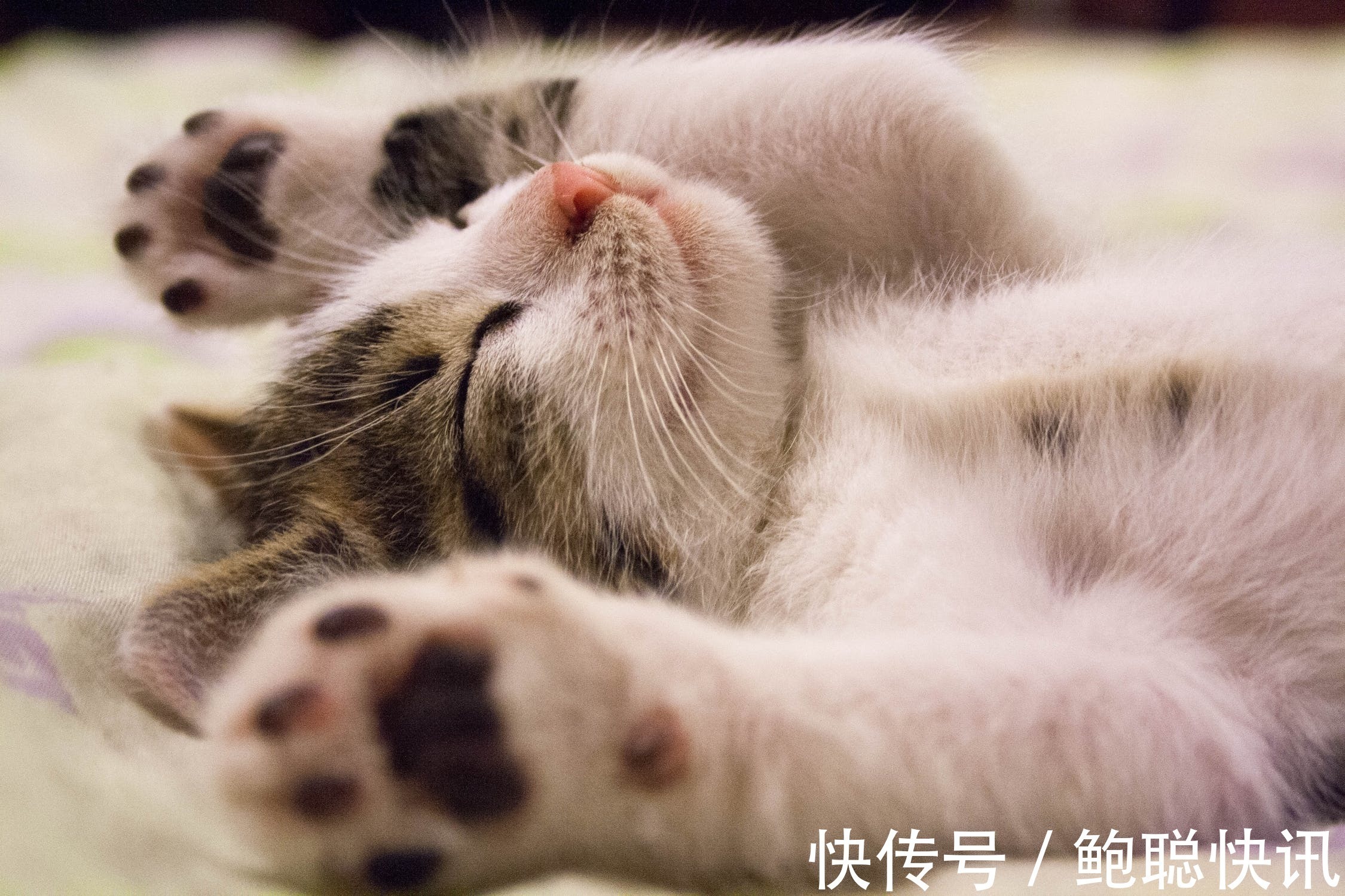 孩子|用这4方式去叫醒孩子,是破坏他大脑的启动,对他心灵有杀伤!