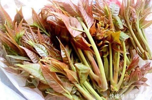 黄花菜|此6种蔬菜不焯水“不可以吃”,多数人都不晓得,还一直再吃