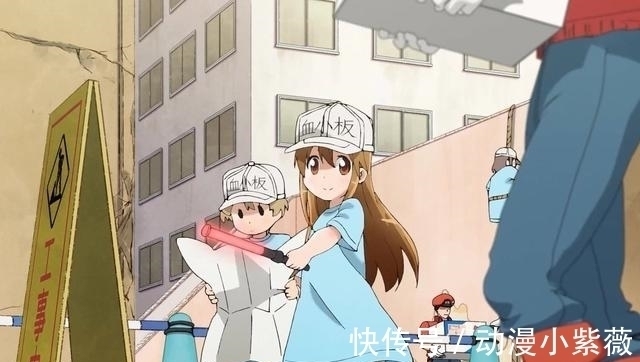 工作细胞|日本小哥沉迷日漫《工作细胞》不可自拔,于是他将伤口二次元化了