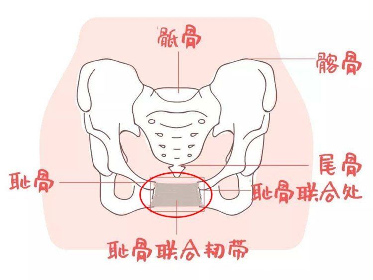 产后|有没有做过产后骨盆修复的宝妈，你们觉得怎么样有效果吗？