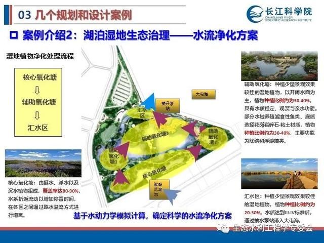 河流|「专家视角」许继军：河流生态修复理念、技术与实践