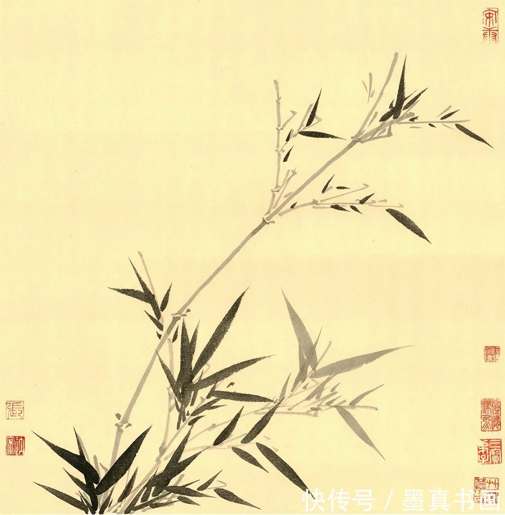 墨竹谱|「张楠」|丹青追梦 水墨本色-中国当代书画名家个人云展览